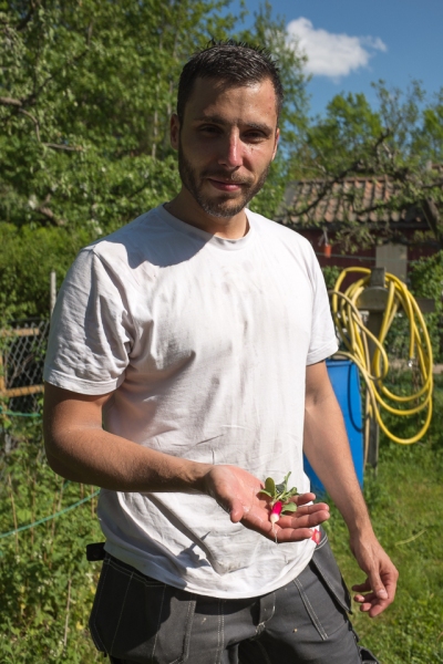radisser-1